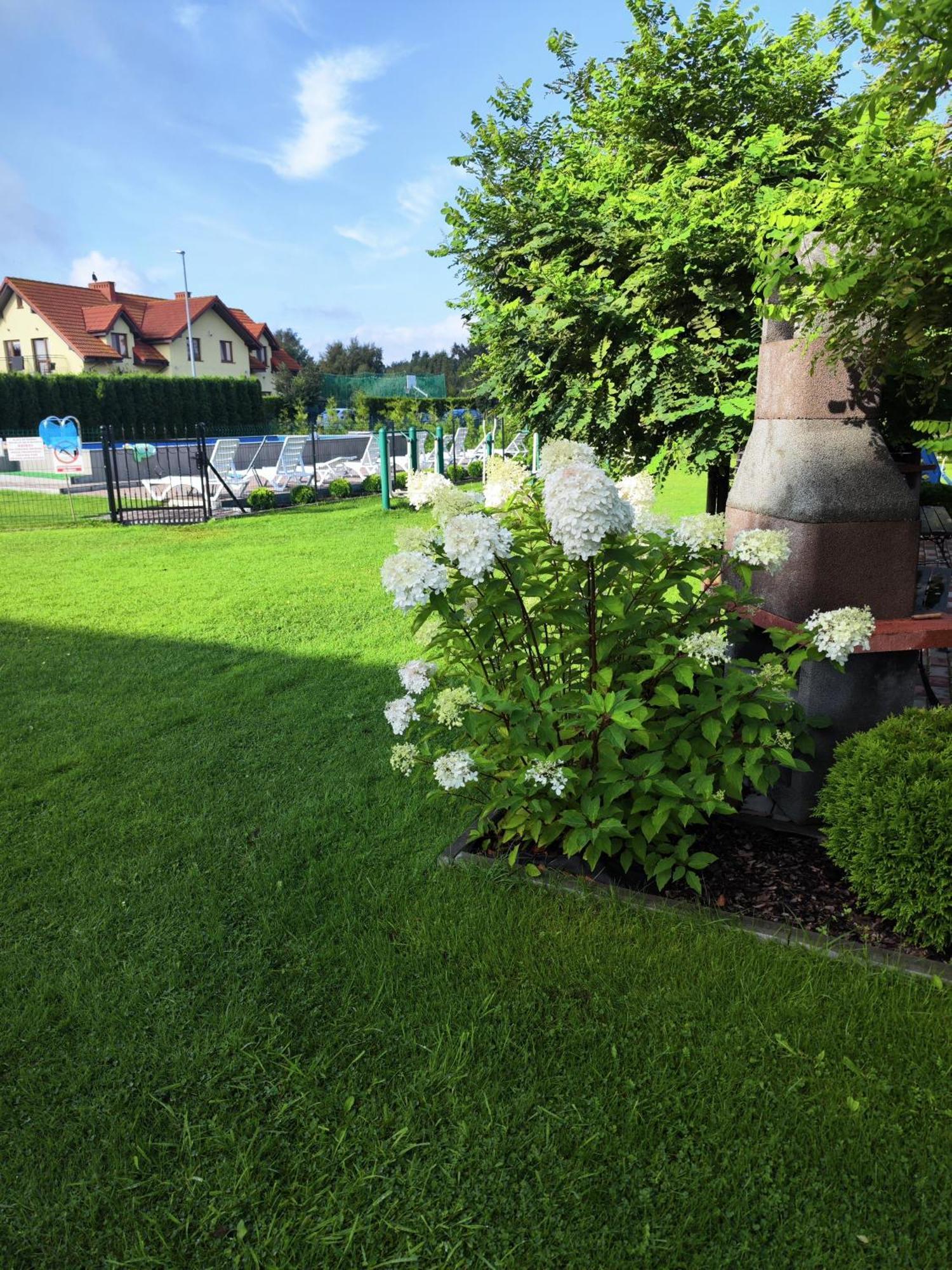Michalek W Rowach Bed & Breakfast Rowy  Exterior photo