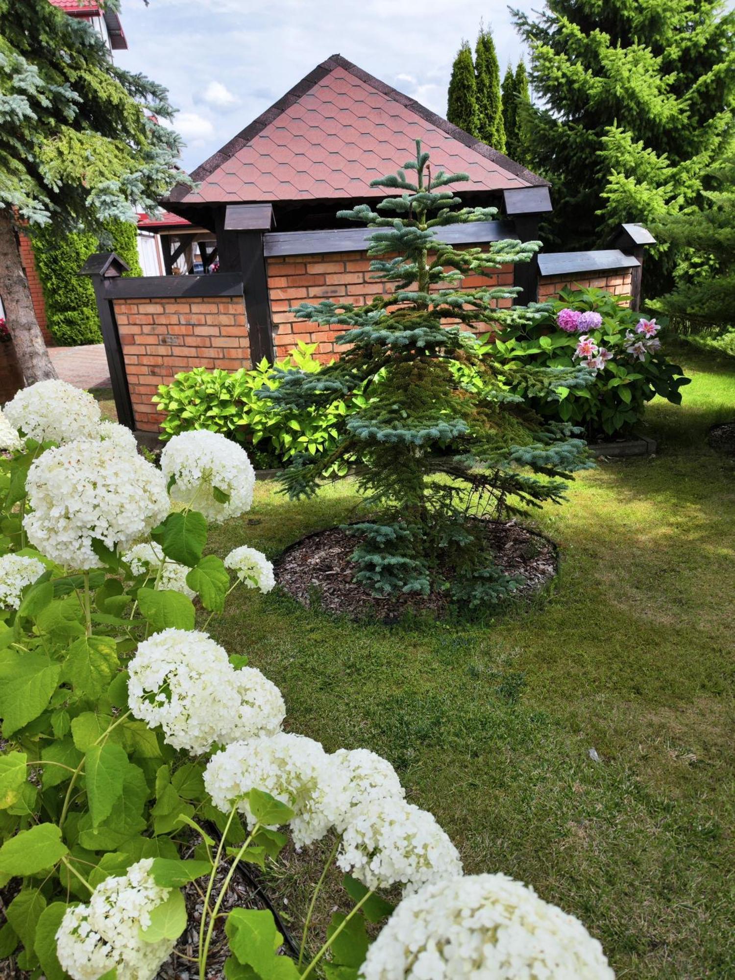 Michalek W Rowach Bed & Breakfast Rowy  Exterior photo