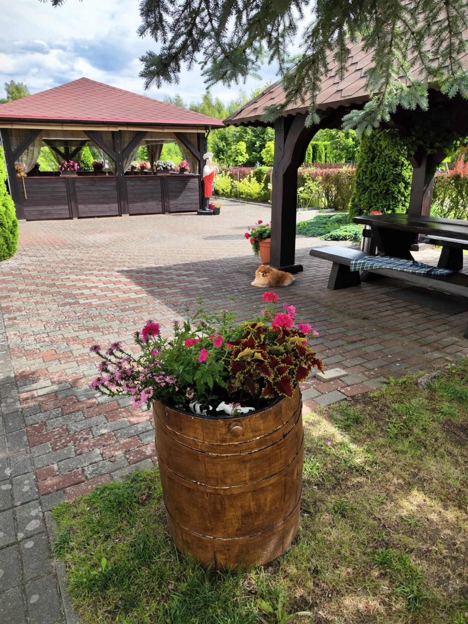 Michalek W Rowach Bed & Breakfast Rowy  Exterior photo